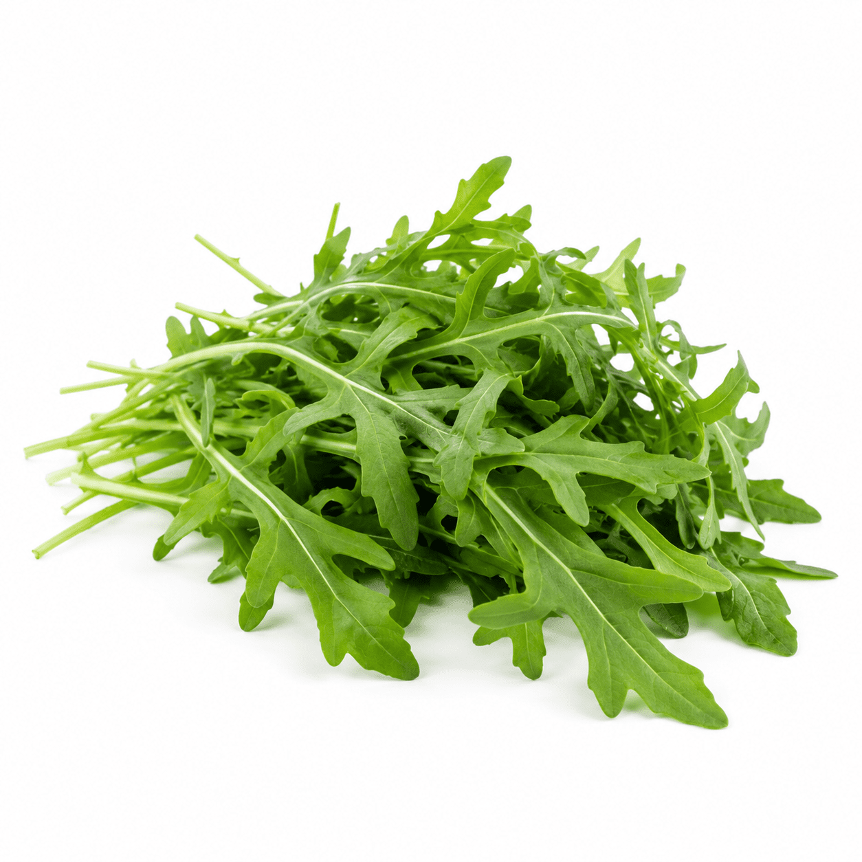 Arugula