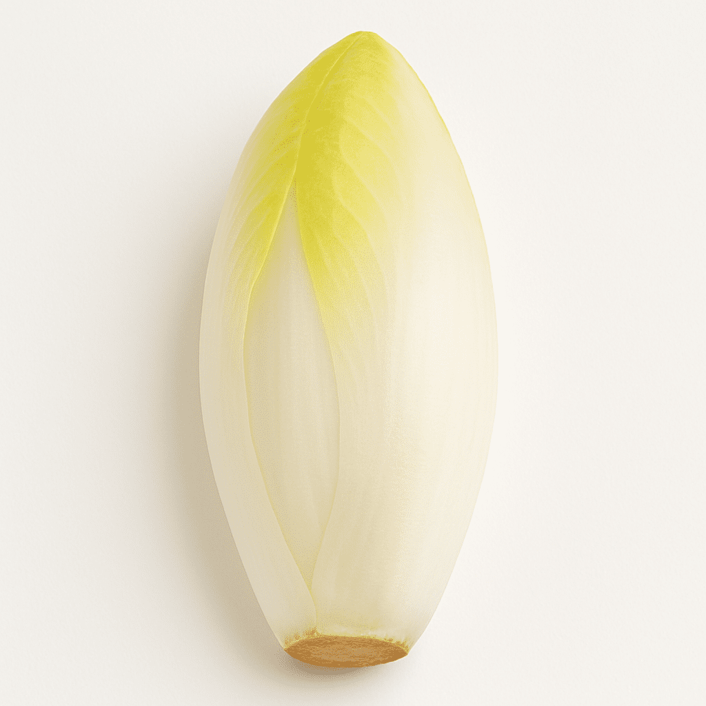 Chicory