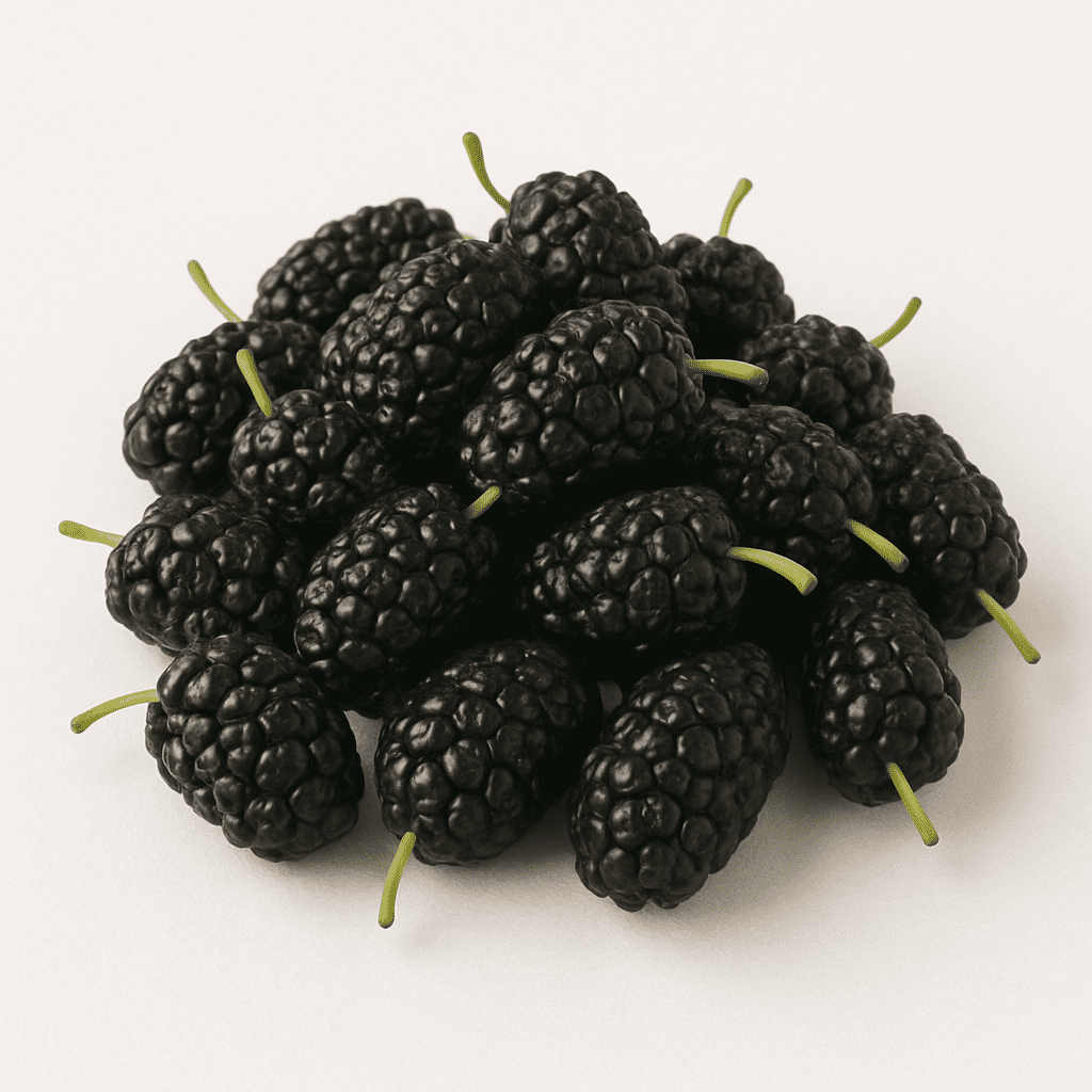 Mulberry